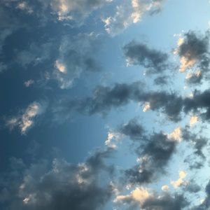 Meet your Posher, Julianna